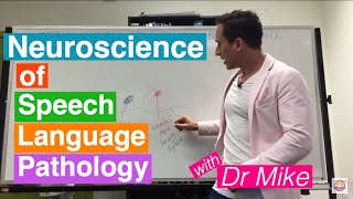 Neuroscience of Speech Language Pathology SLP [upl. by Atalante]