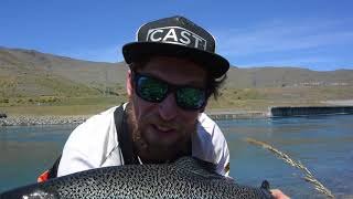 20lb Salmon on 4lb in Twizel Canal New Zealand [upl. by Nanny]