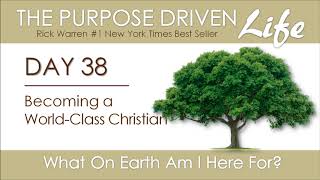 Purpose Driven Life  Day 38 [upl. by Teillo]