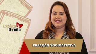 Explica Direito Filiação Socioafetiva  2019 [upl. by Base381]