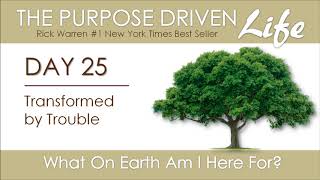 Purpose Driven Life  Day 25 [upl. by Ahsinna]