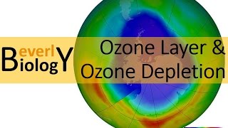 Science Works Protecting The Ozone Layer [upl. by Krell]