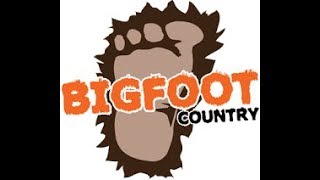 bigfoot song lyrics chasing bigfoot [upl. by Eseila]