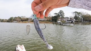 DOCK FISHING for Monster Redfish on JIGS  TIPS and HOW TO [upl. by Spohr399]