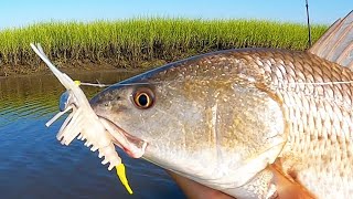 3 Tips To Catch Shallow Water Redfish [upl. by Gray]