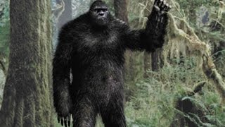 BIGFOOT FAMILY Clip  quotPrepare The Big Daddyquot 2020 [upl. by Eshman200]