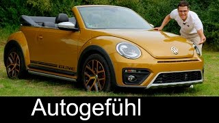 Volkswagen Beetle Dune FULL REVIEW test driven CabrioletConvertible 220 hp VW TSI [upl. by Ahsemrac]