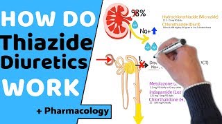 How do Thiazide Diuretics Work  Pharmacology [upl. by Mathilda116]