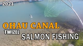 SALMON FISHING at OHAU CANAL TWIZELNEW ZEALAND [upl. by Venu263]