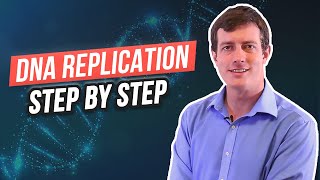 6 Steps of DNA Replication [upl. by Nahc]