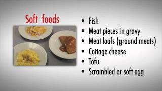 Pureed Diet Recipes Part Two  Bariatric Diet Options [upl. by Alana]