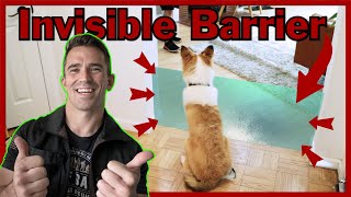 Easily and Quickly Teach Your Dog boundaries The Invisible Barrier [upl. by Airdnal]