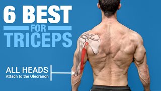 6 BEST Triceps Exercises ANATOMY BASED [upl. by Treiber108]