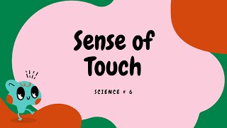 Learning the FIVE SENSES  SENSE OF TOUCH  Enjoy Science for Kids [upl. by Ttenna998]