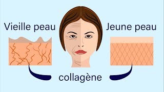 Collagène comment le prendre et Pourquoi [upl. by Dody]