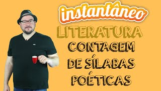 Contagem de Sílabas Poéticas  Literatura  Pedro Gonzaga  Instantâneo [upl. by Zenger653]