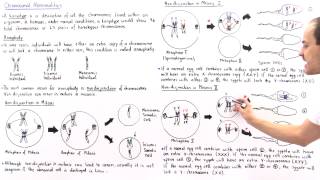 Aneuploidy and Nondisjunction [upl. by Vi358]