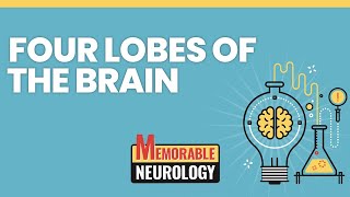 Four Lobes of the Brain Mnemonics Memorable Neurology Lecture 1 [upl. by Scarlet49]