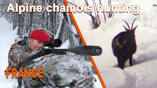 Alpine Chamois Hunting in France  Chasse au Chamois en France  2021 [upl. by Ermine955]