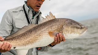 Unfathomed  FISHING CHARLESTON SC for BULL REDFISH [upl. by Anelav]