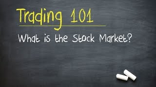 Trading 101 What is the Stock Market [upl. by Aennyl]