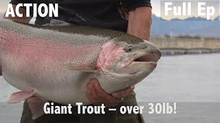 Giant Trout  Over 30lb [upl. by Teirrah642]