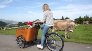 Introduction Babboe Mountain Cargobikes [upl. by Berlauda]