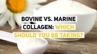 Bovine vs Marine Collagen Which Should YOU be Taking [upl. by Einahpats]