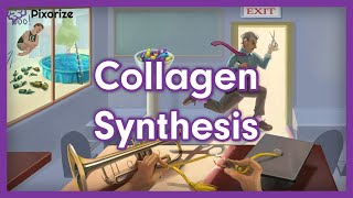 Collagen Synthesis USMLE Mnemonic Preview [upl. by Kahn789]