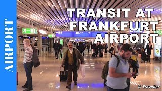 TRANSIT WALK AT FRANKFURT Airport FRA Terminal 1  Connection Flight Transfer Arriving amp Departing [upl. by Eirena]