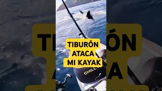 TIBURÓN ATACA MI KAYAK [upl. by Benedix]