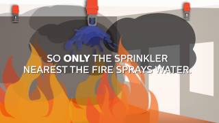 Blazemaster How Fire Sprinklers Work [upl. by Ellimak]