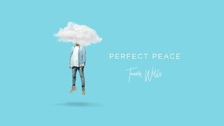 Tauren Wells  Perfect Peace Visualizer [upl. by Susejedairam89]