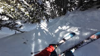 Solitude  Headwall Forest [upl. by Eisinger]