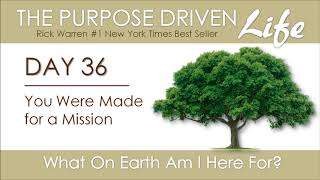 Purpose Driven Life  Day 36 [upl. by Frissell]