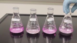 Titration Video [upl. by Fernandes]